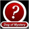 Pre-order DOGS OF MYSTERY here!